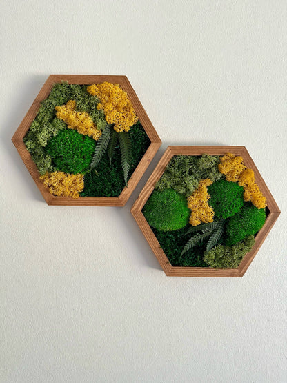 Moss Wall Art Decor | Handmade Wood Hexagon | Single to Set of Six (8" x 9" each) or (10" x 11.6") | Preserved Moss, Pole Moss, Sheet Moss