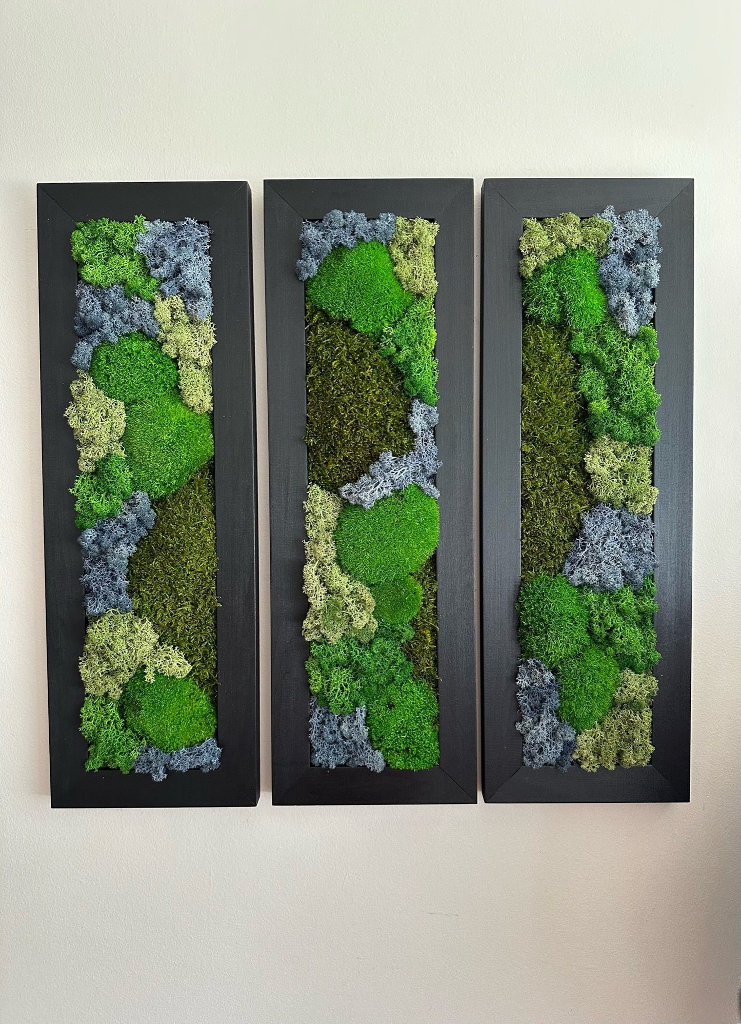 Framed Preserved Reindeer Sheet and Pole Moss Wall Art: Rectangle Set | USA - TARIFF FREE
