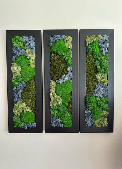 Framed Preserved Reindeer Sheet and Pole Moss Wall Art: Rectangle Set | USA - TARIFF FREE