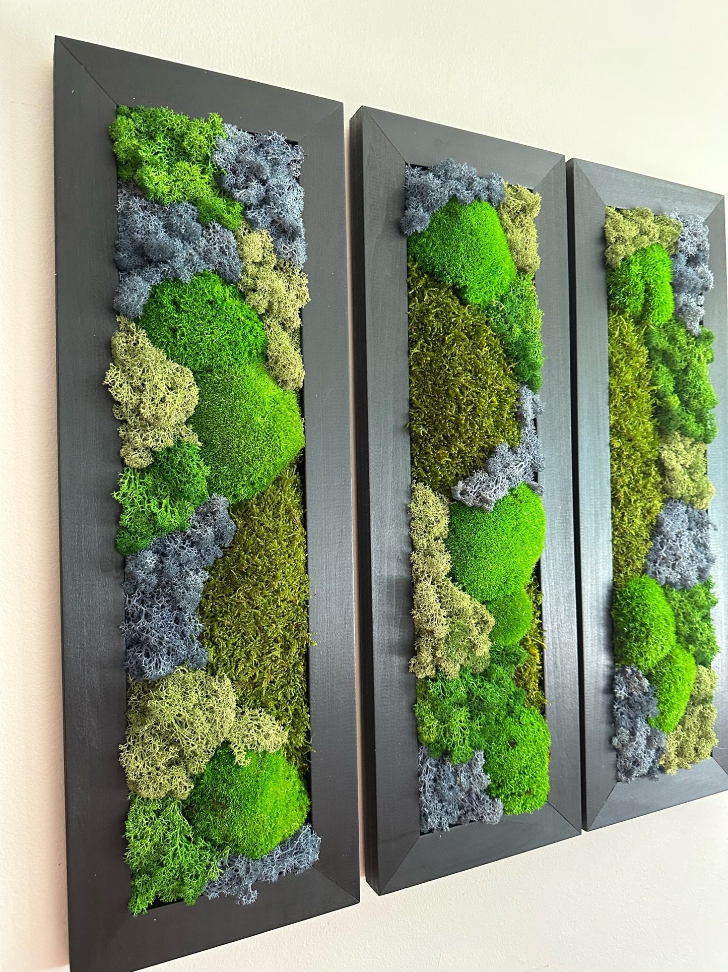 Framed Preserved Reindeer Sheet and Pole Moss Wall Art: Rectangle Set | USA - TARIFF FREE
