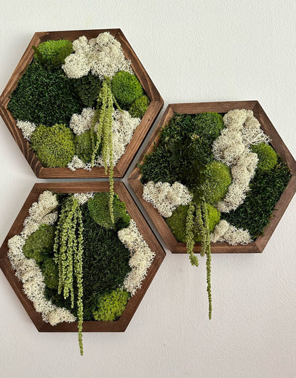 Handmade Moss Wall Art: Wood Hexagon with Preserved Reindeer Moss & Fern | USA - TARIFF FREE