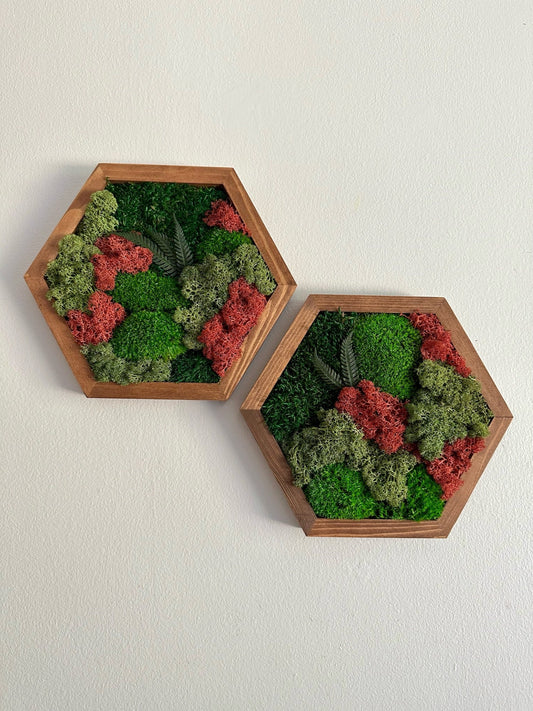 Moss Wall Art Decor | Handmade Wood Hexagon | Single Set to Six (8" x 9") or (10" x 11.6") | Preserved Lichen, Pole & Sheet Moss with Fern