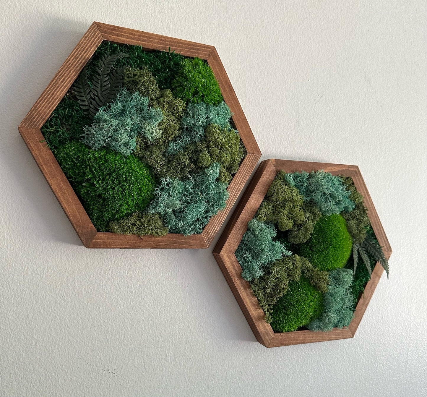 Moss Wall Art Decor | Handmade Wood Hexagon | Single to Set of Six (8" x 9") or (10" X 11.6") | Preserved Moss, Pole and Sheet Moss & Fern