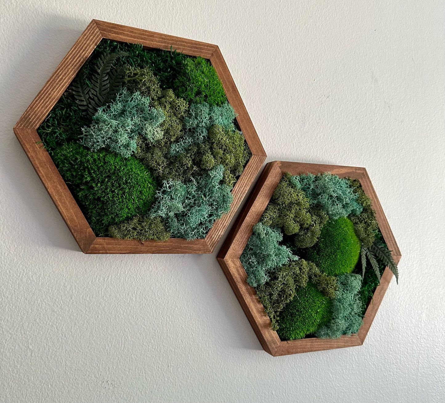 Moss Wall Art Decor | Handmade Wood Hexagon | Single to Set of Six (8" x 9") or (10" X 11.6") | Preserved Moss, Pole and Sheet Moss & Fern