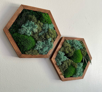 Moss Wall Art Decor | Handmade Wood Hexagon | Single to Set of Six (8" x 9") or (10" X 11.6") | Preserved Moss, Pole and Sheet Moss & Fern