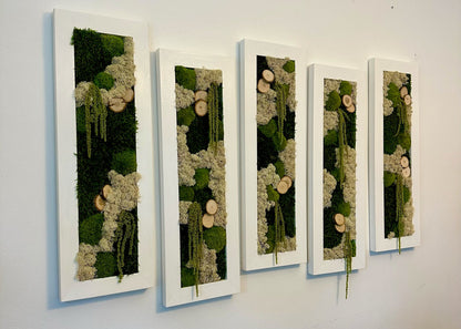Framed Preserved Moss Wall Art: Reindeer & Pole Moss Decor | USA - TARIFF FREE