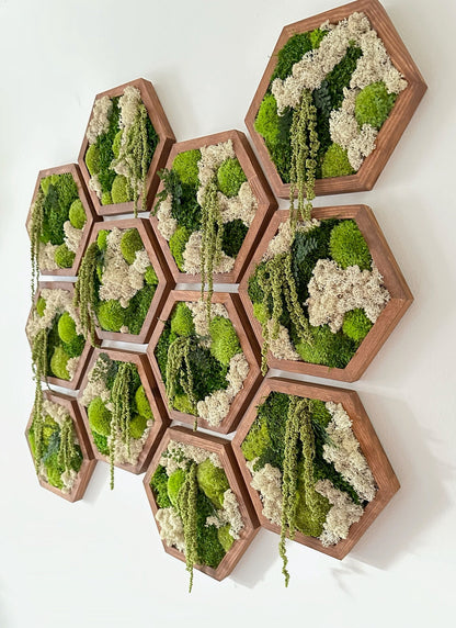 Handmade Moss Wall Art: Wood Hexagon with Preserved Reindeer Moss & Fern | USA - TARIFF FREE