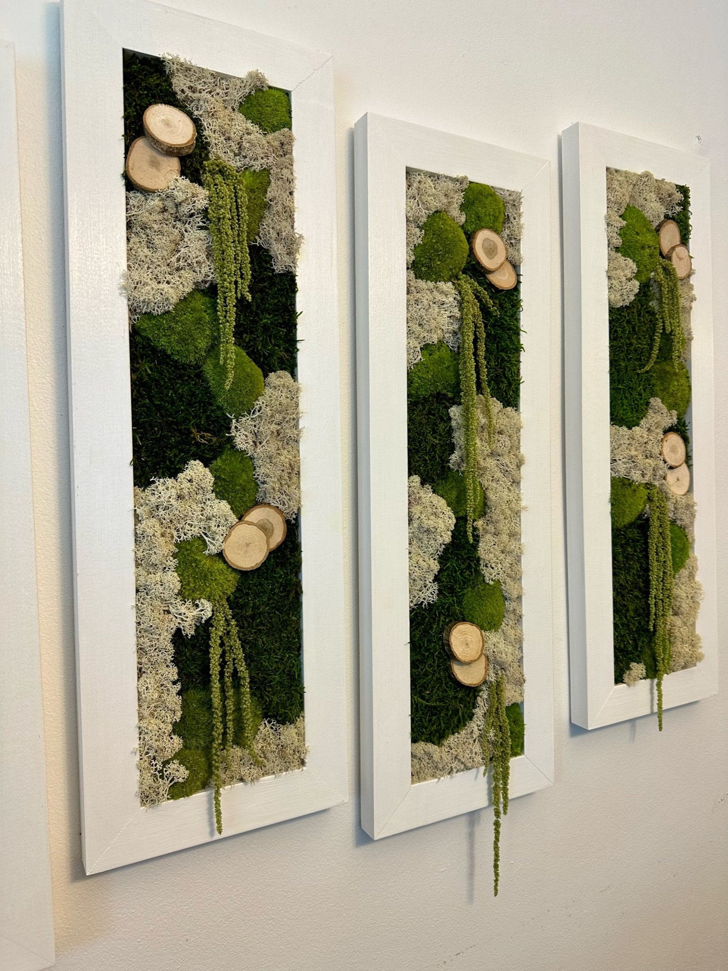 Framed Preserved Moss Wall Art: Reindeer & Pole Moss Decor | USA - TARIFF FREE