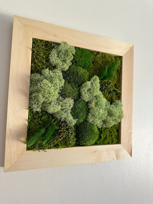 Moss Wall Art | Preserved Moss Art Framed | Square Frame | Green Moss Pole Moss with Preserved Fern and Flowers
