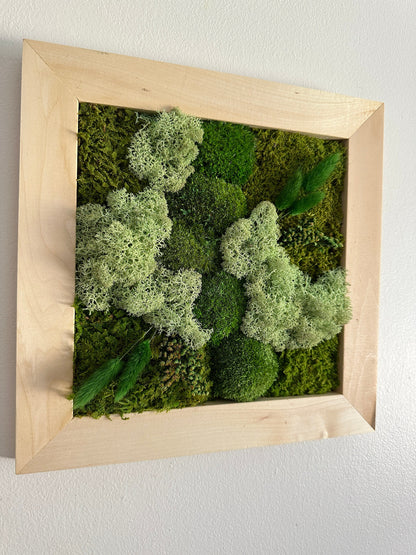 Preserved Moss Wall Art: Square Frame with Reindeer Moss & Fern | USA - TARIFF FREE