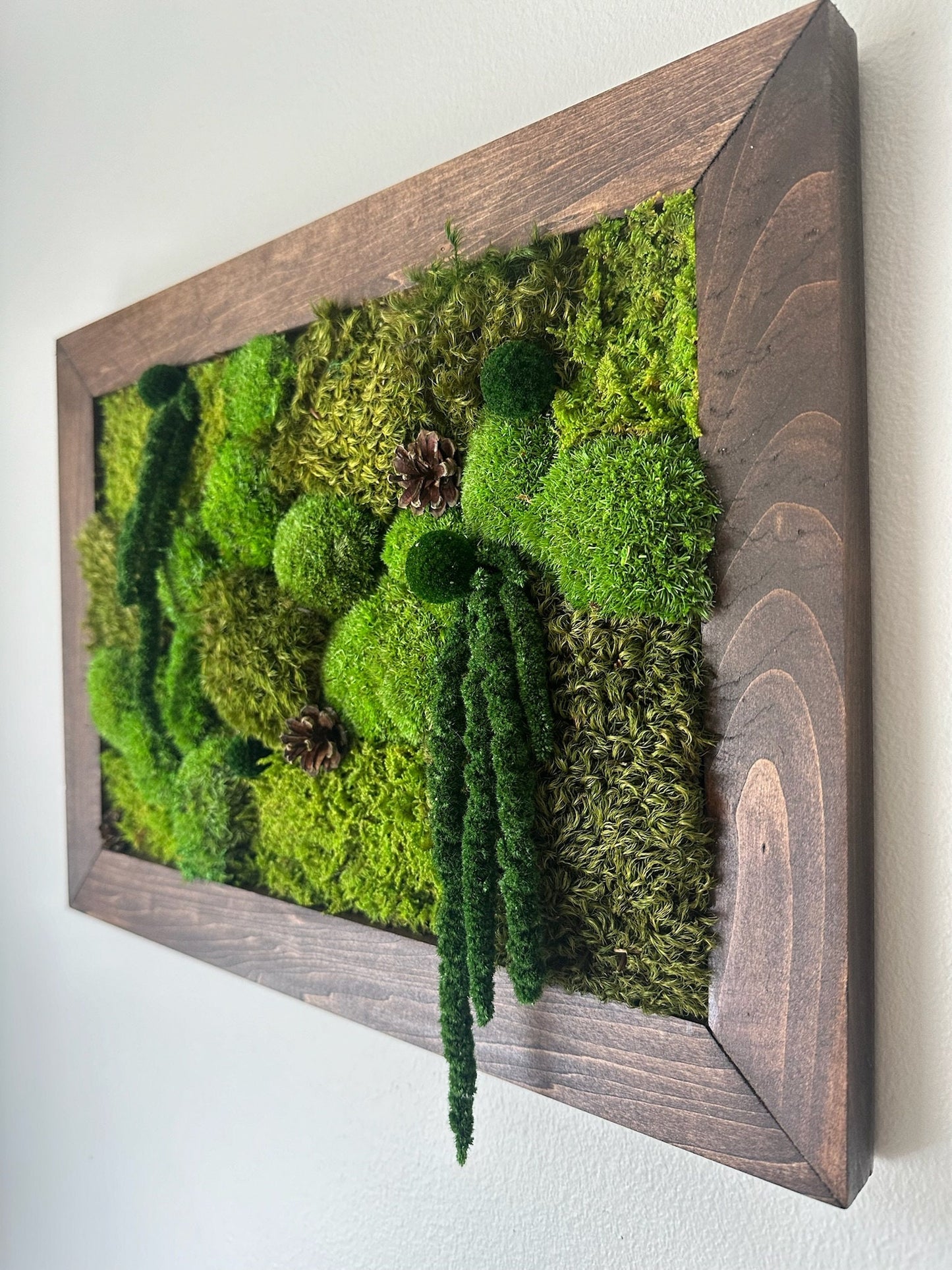 Preserved Moss Wall Art: Rectangle Wood Frame, Natural Home Decor | USA - TARIFF FREE