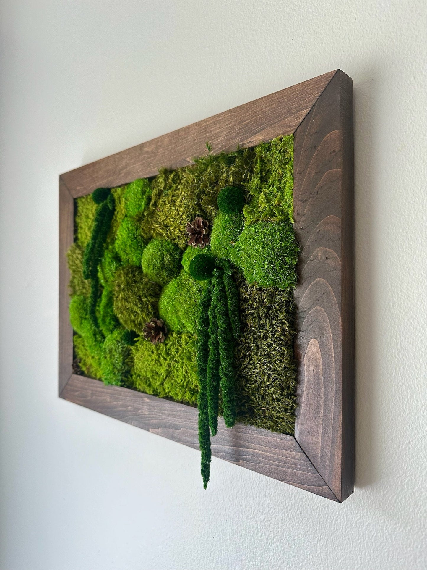 Preserved Moss Wall Art: Rectangle Wood Frame, Natural Home Decor | USA - TARIFF FREE