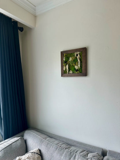 Preserved Moss Wall Art: Square Wood Frame with Fern & Flowers | USA - TARIFF FREE
