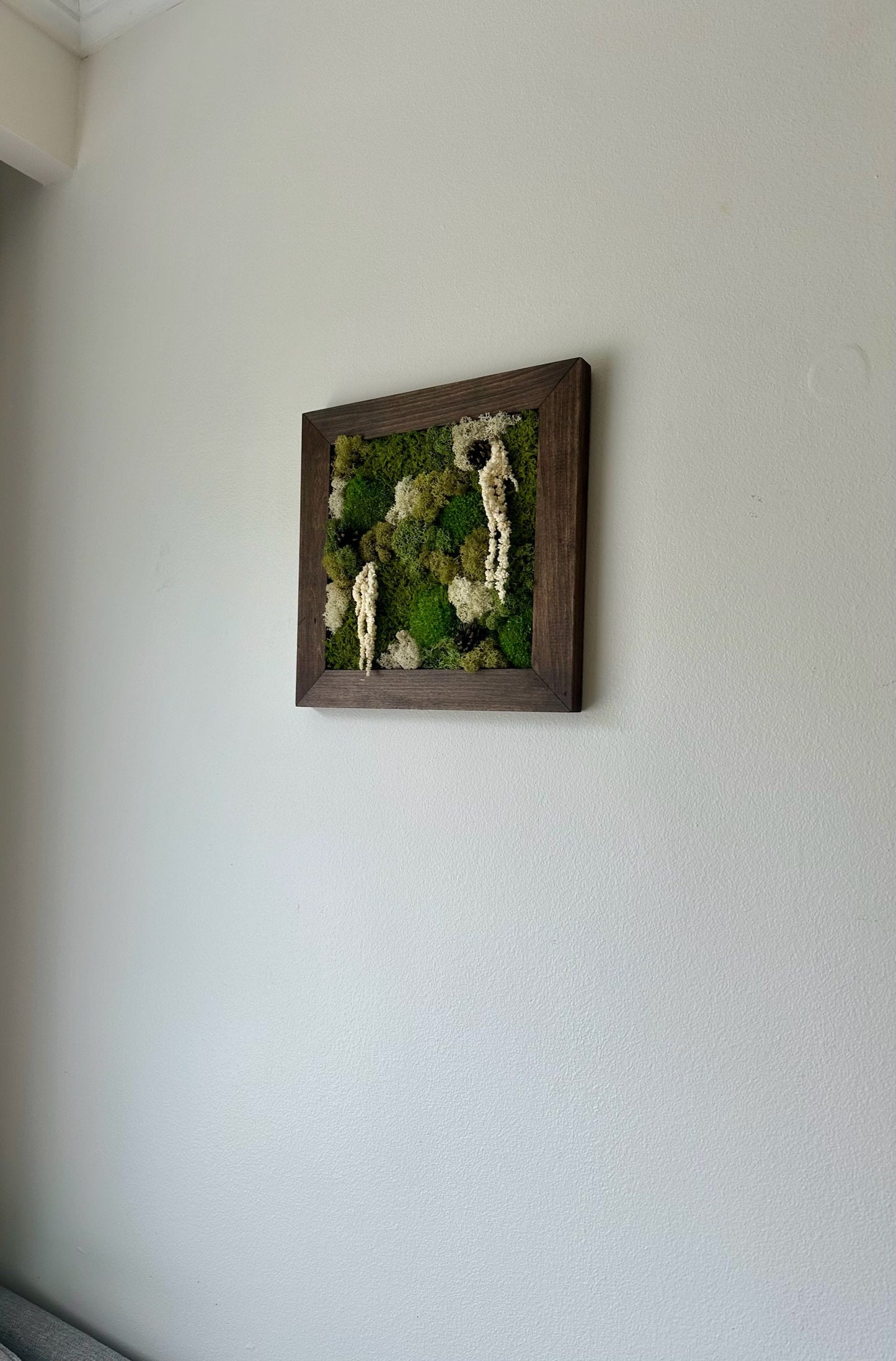Preserved Moss Wall Art: Square Wood Frame with Fern & Flowers | USA - TARIFF FREE