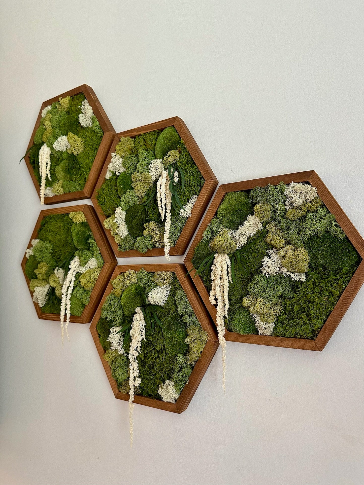 Handmade Preserved Moss Wall Art: Wood Hexagon Frame | USA - TARIFF FREE