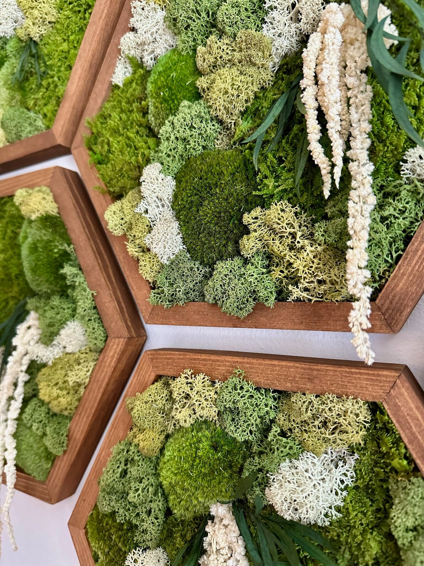 Handmade Preserved Moss Wall Art: Wood Hexagon Frame | USA - TARIFF FREE