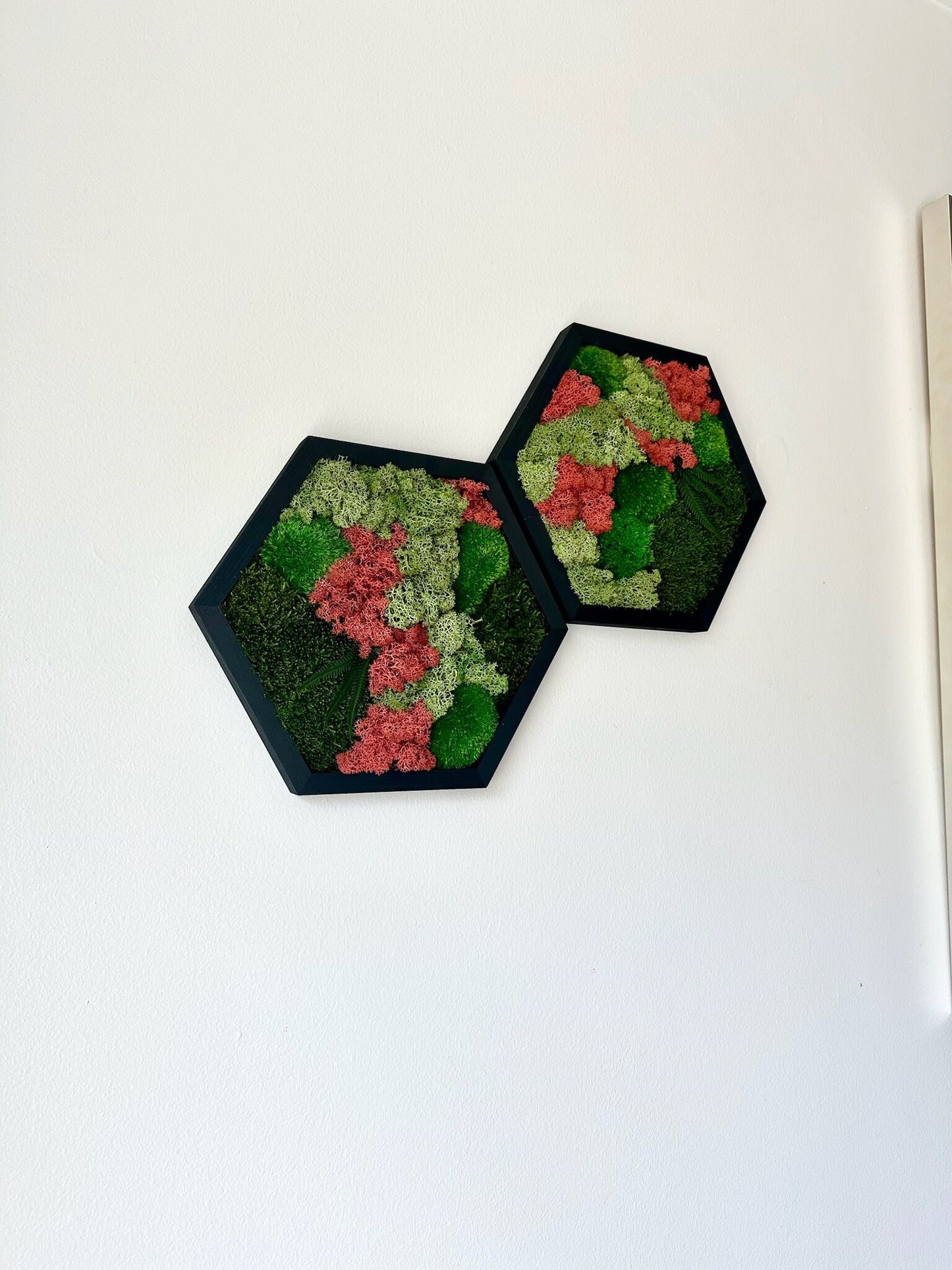 Handmade Moss Wall Art: Wood Hexagon with Preserved Lichen & Fern | USA - TARIFF FREE