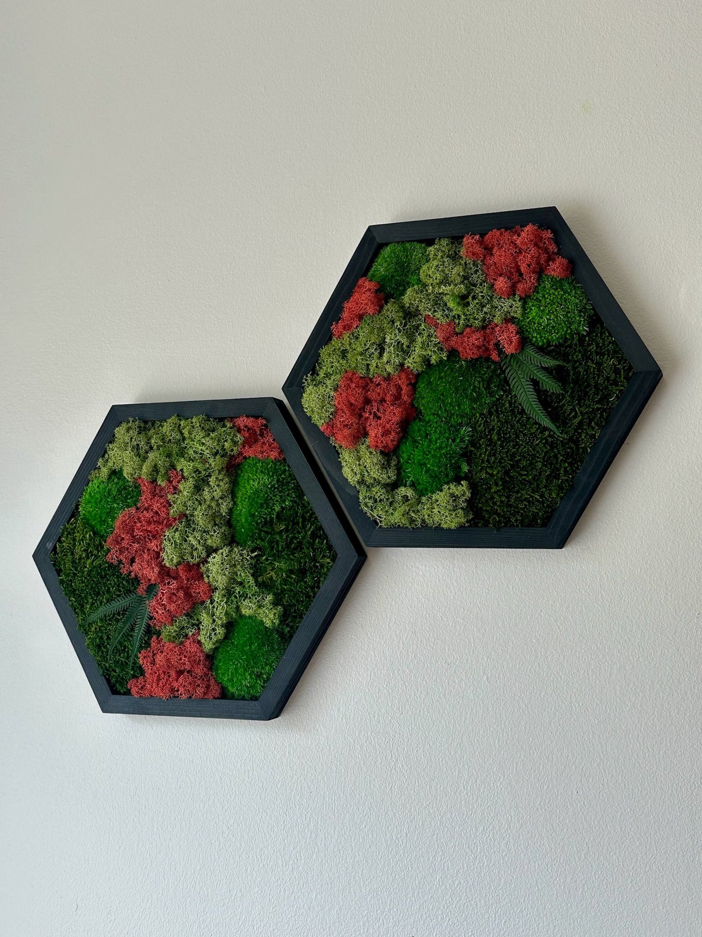 Handmade Moss Wall Art: Wood Hexagon with Preserved Lichen & Fern | USA - TARIFF FREE