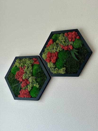 Handmade Moss Wall Art: Wood Hexagon with Preserved Lichen & Fern | USA - TARIFF FREE