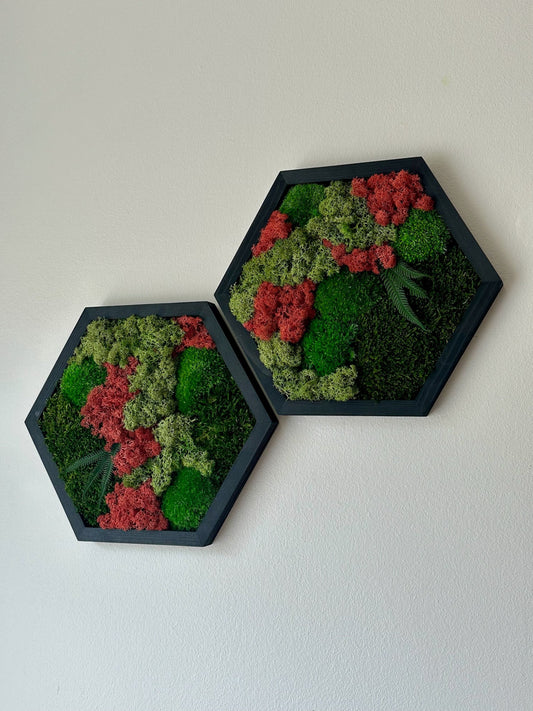 Handmade Moss Wall Art: Wood Hexagon with Preserved Lichen & Fern | USA - TARIFF FREE