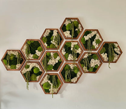 Handmade Moss Wall Art: Wood Hexagon with Preserved Reindeer Moss & Fern | USA - TARIFF FREE