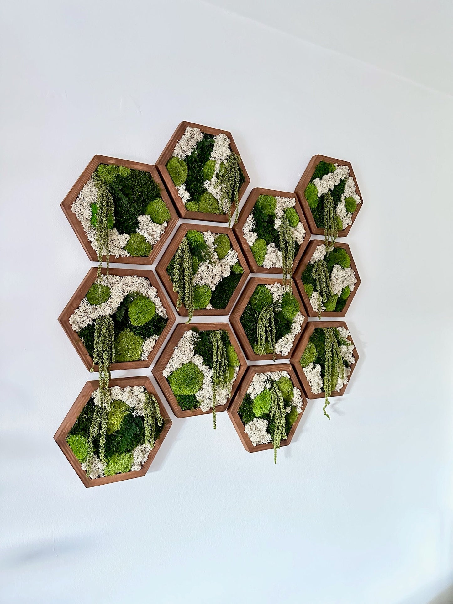 Handmade Moss Wall Art: Wood Hexagon with Preserved Reindeer Moss & Fern | USA - TARIFF FREE