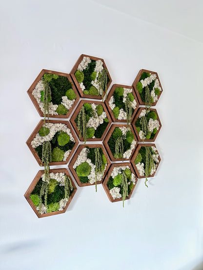 Handmade Moss Wall Art: Wood Hexagon with Preserved Reindeer Moss & Fern | USA - TARIFF FREE