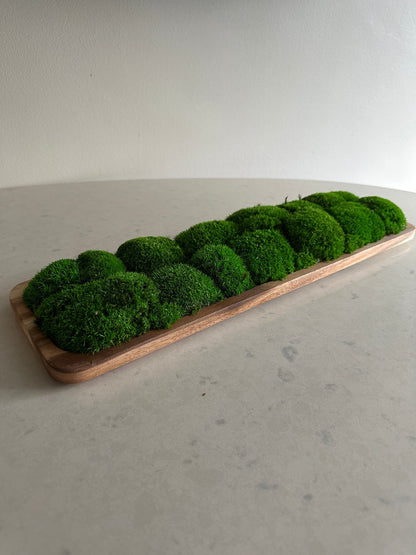 Moss Centerpiece | Pole Moss | Moss Planter | Preserved Moss Gift  | Wood Nature Bowl | One of a Kind | Green Pole Moss | Gift