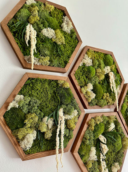 Handmade Preserved Moss Wall Art: Wood Hexagon Frame | USA - TARIFF FREE
