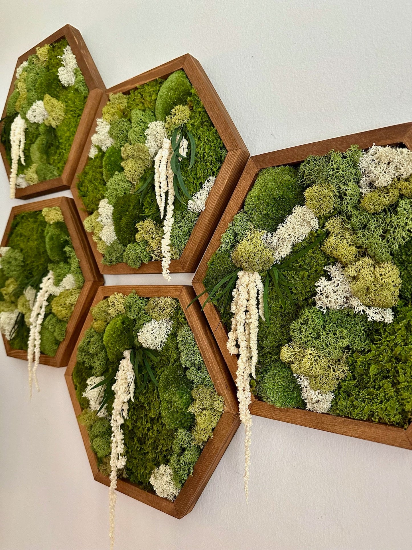 Handmade Preserved Moss Wall Art: Wood Hexagon Frame | USA - TARIFF FREE