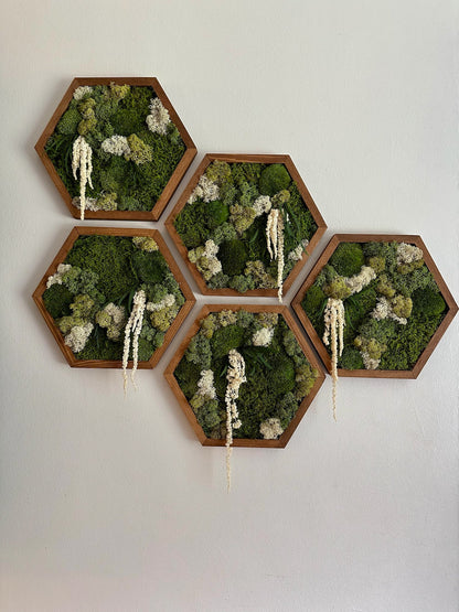 Handmade Preserved Moss Wall Art: Wood Hexagon Frame | USA - TARIFF FREE