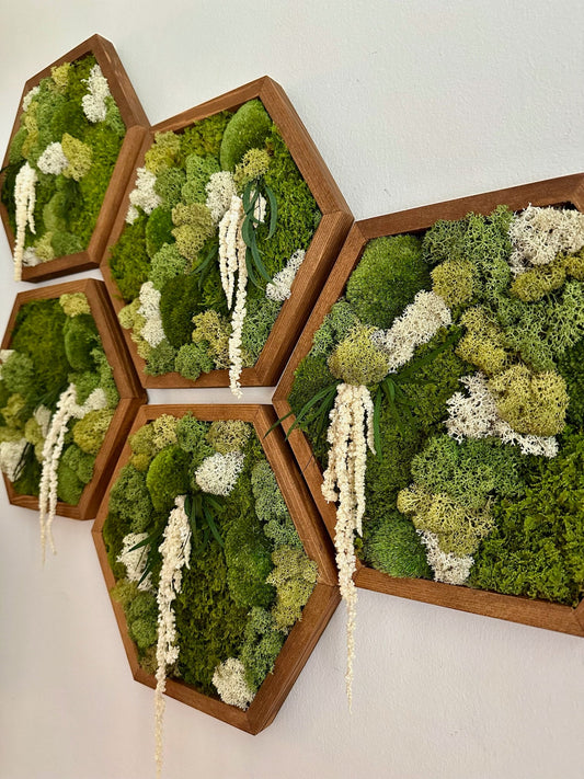 Handmade Preserved Moss Wall Art: Wood Hexagon Frame | USA - TARIFF FREE