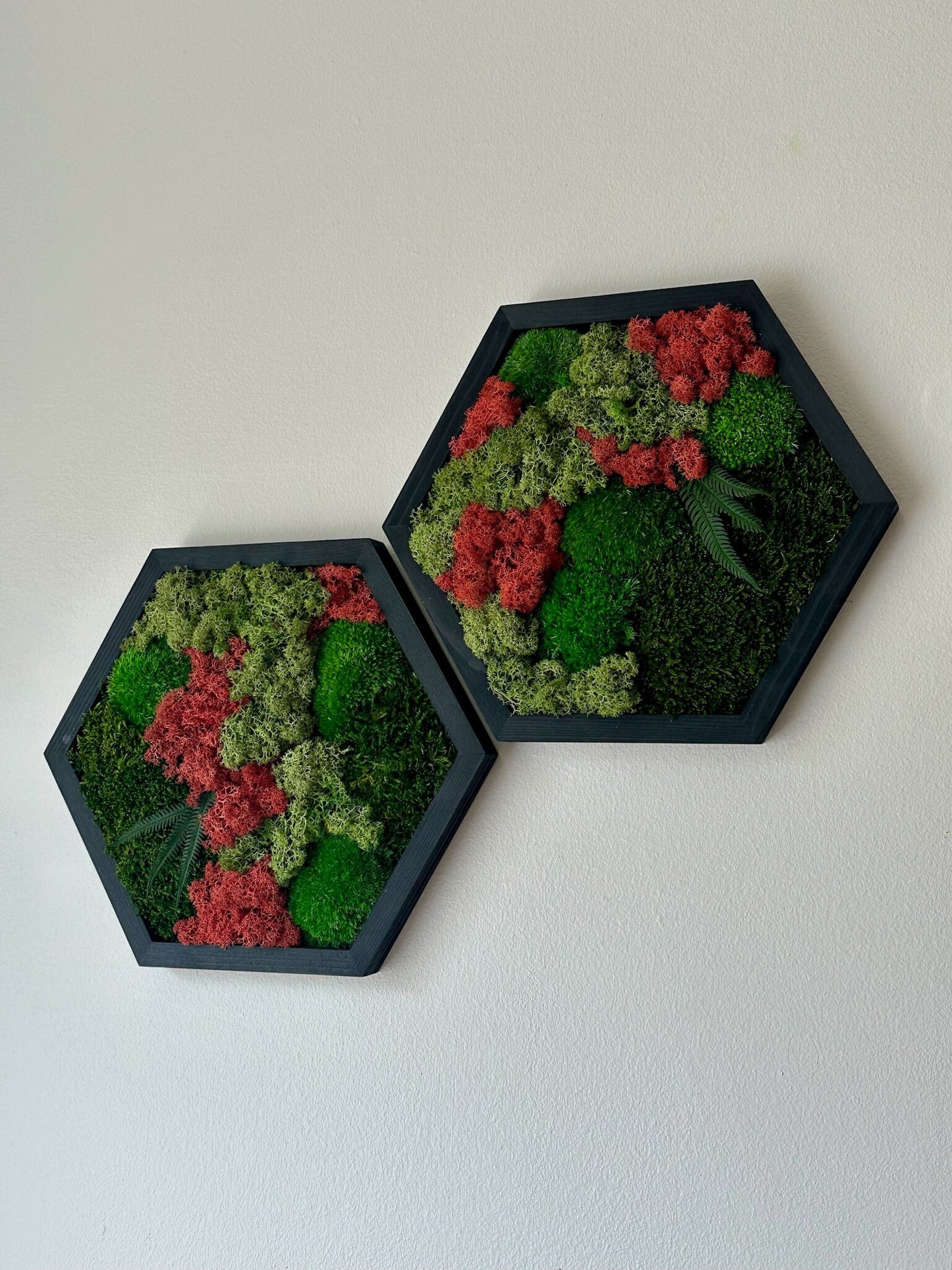 Handmade Moss Wall Art: Wood Hexagon with Preserved Lichen & Fern | USA - TARIFF FREE