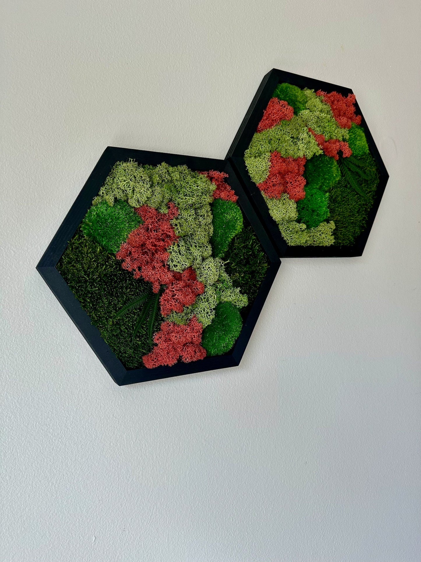 Handmade Moss Wall Art: Wood Hexagon with Preserved Lichen & Fern | USA - TARIFF FREE