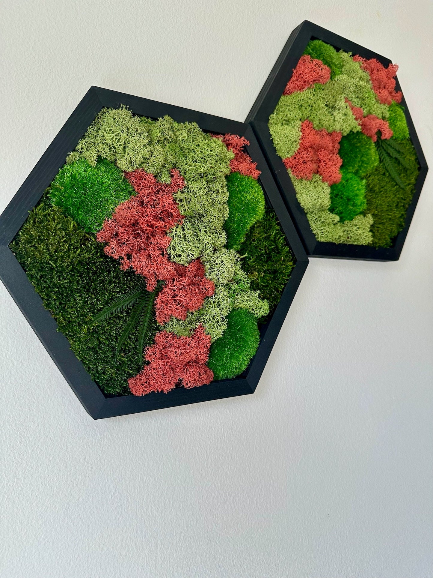Handmade Moss Wall Art: Wood Hexagon with Preserved Lichen & Fern | USA - TARIFF FREE