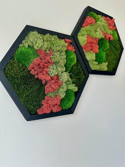 Handmade Moss Wall Art: Wood Hexagon with Preserved Lichen & Fern | USA - TARIFF FREE