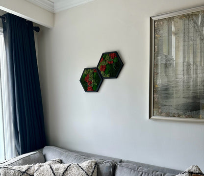 Handmade Moss Wall Art: Wood Hexagon with Preserved Lichen & Fern | USA - TARIFF FREE