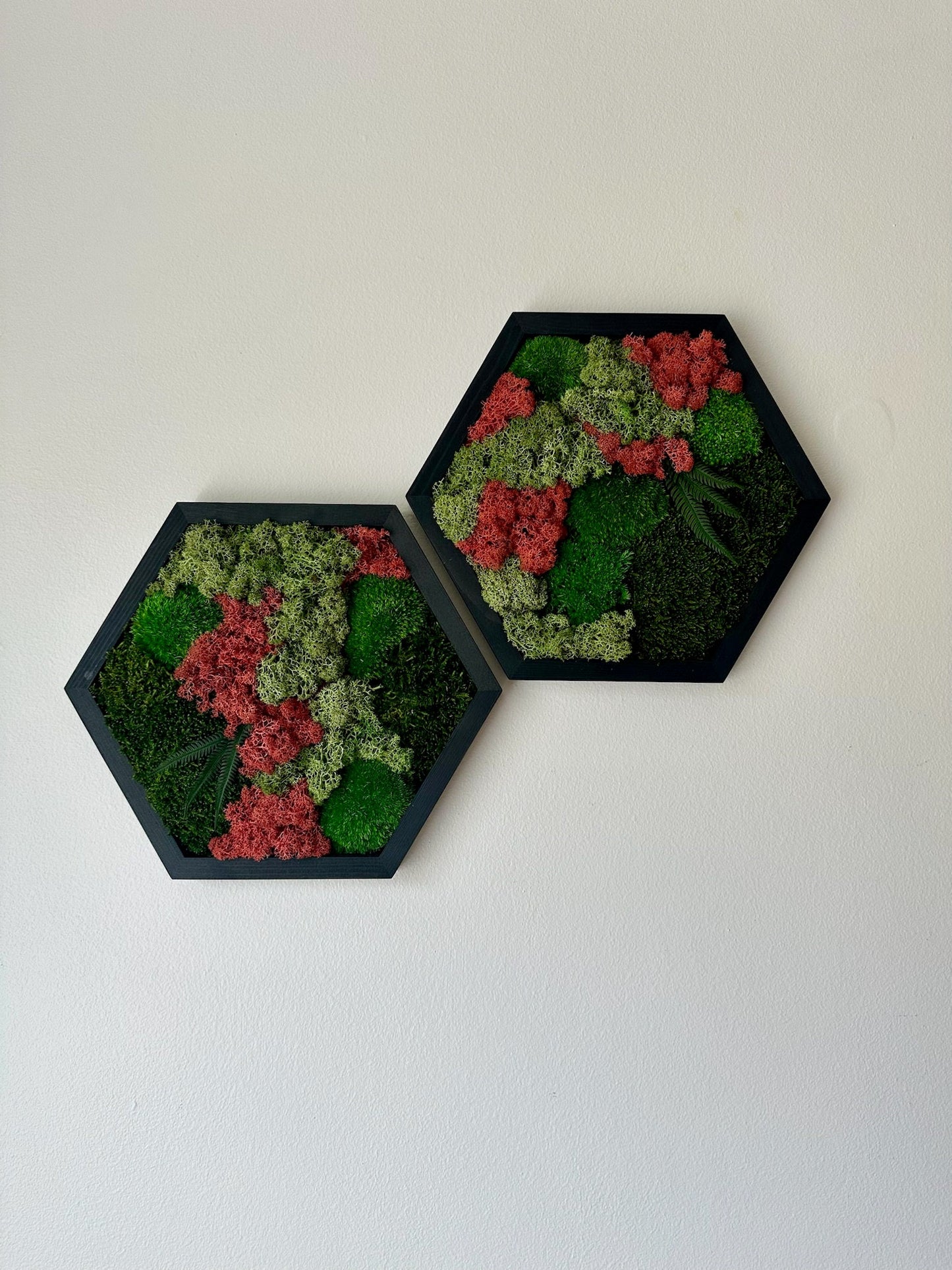 Handmade Moss Wall Art: Wood Hexagon with Preserved Lichen & Fern | USA - TARIFF FREE