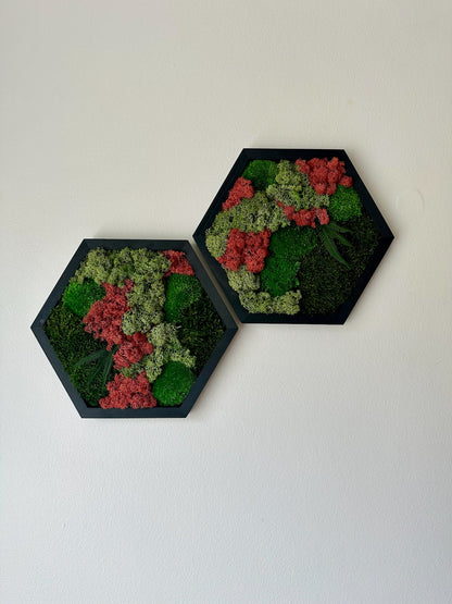 Handmade Moss Wall Art: Wood Hexagon with Preserved Lichen & Fern | USA - TARIFF FREE
