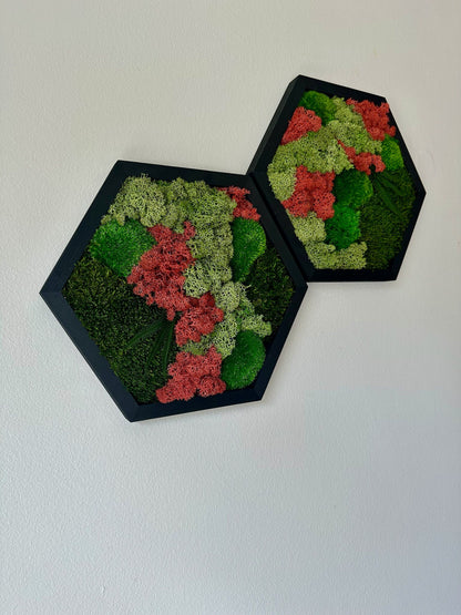 Handmade Moss Wall Art: Wood Hexagon with Preserved Lichen & Fern | USA - TARIFF FREE