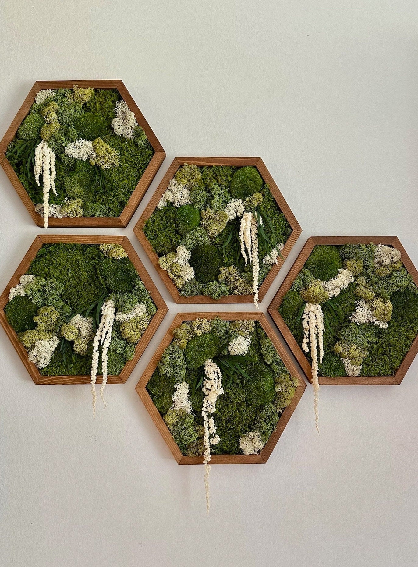 Handmade Preserved Moss Wall Art: Wood Hexagon Frame | USA - TARIFF FREE