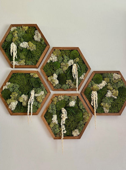 Handmade Preserved Moss Wall Art: Wood Hexagon Frame | USA - TARIFF FREE