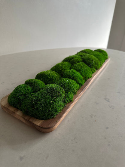 Moss Centerpiece | Pole Moss | Moss Planter | Preserved Moss Gift  | Wood Nature Bowl | One of a Kind | Green Pole Moss | Gift