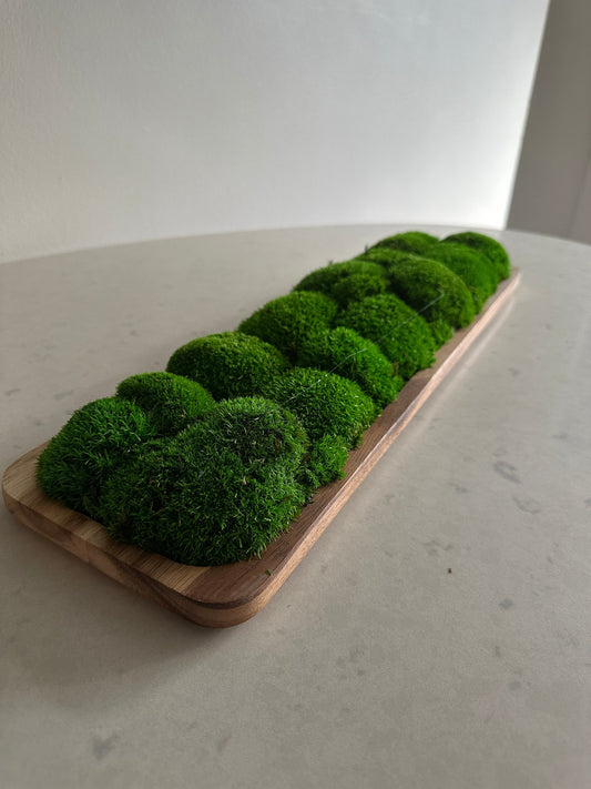 Moss Centerpiece | Pole Moss | Moss Planter | Preserved Moss Gift  | Wood Nature Bowl | One of a Kind | Green Pole Moss | Gift