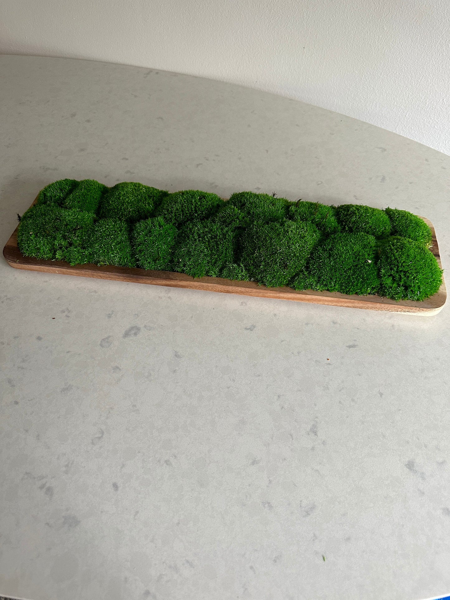 Moss Centerpiece | Pole Moss | Moss Planter | Preserved Moss Gift  | Wood Nature Bowl | One of a Kind | Green Pole Moss | Gift