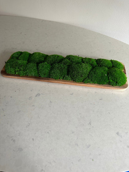 Moss Centerpiece | Pole Moss | Moss Planter | Preserved Moss Gift  | Wood Nature Bowl | One of a Kind | Green Pole Moss | Gift
