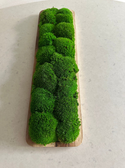 Moss Centerpiece | Pole Moss | Moss Planter | Preserved Moss Gift  | Wood Nature Bowl | One of a Kind | Green Pole Moss | Gift