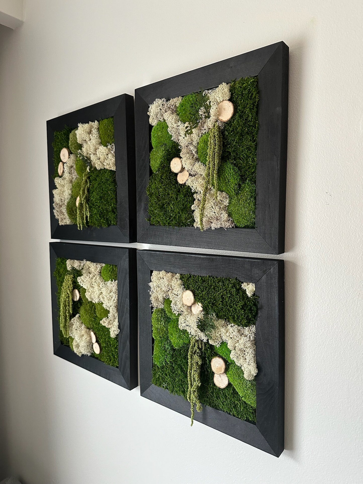 Moss Wall Art | Preserved Moss Art Framed | Square Frame | Green Moss Pole Moss Sheet Moss with Preserved Fern and Wood