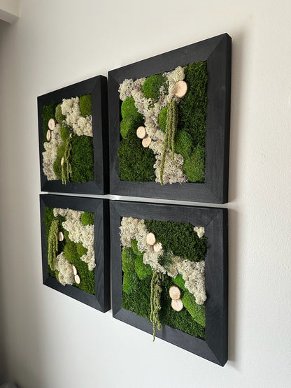 Moss Wall Art | Preserved Moss Art Framed | Square Frame | Green Moss Pole Moss Sheet Moss with Preserved Fern and Wood