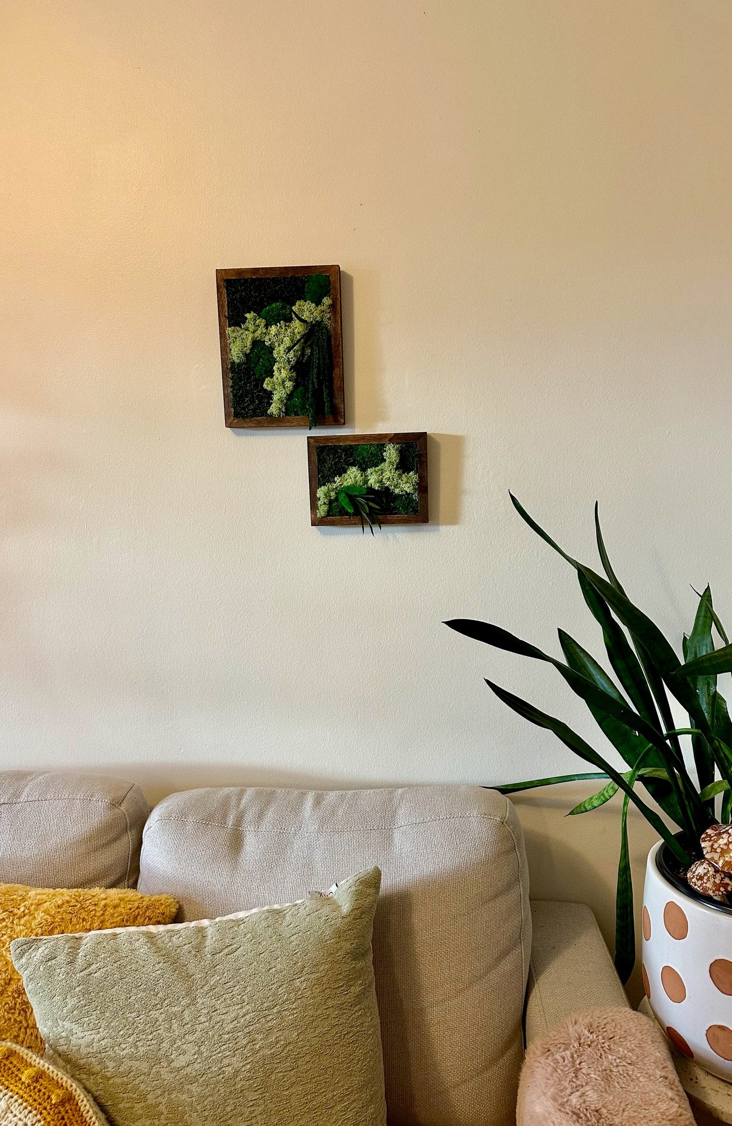 Moss Wall Art Rectangle Frame | Preserved Moss Art Framed | Moss Wall Decor | Single or Set of 2 | Pole, Reindeer & Sheet Moss | Preserved